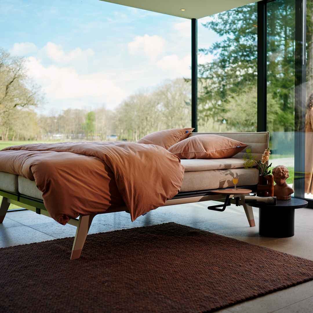 Bedbodems
